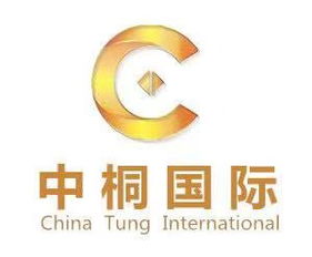 中桐北京國際企業(yè)管理咨詢公司 商務(wù)咨詢的智慧伙伴