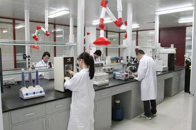 生物醫藥看濱海 | 凱萊英醫藥集團 創新驅動，與新區共筑健康未來